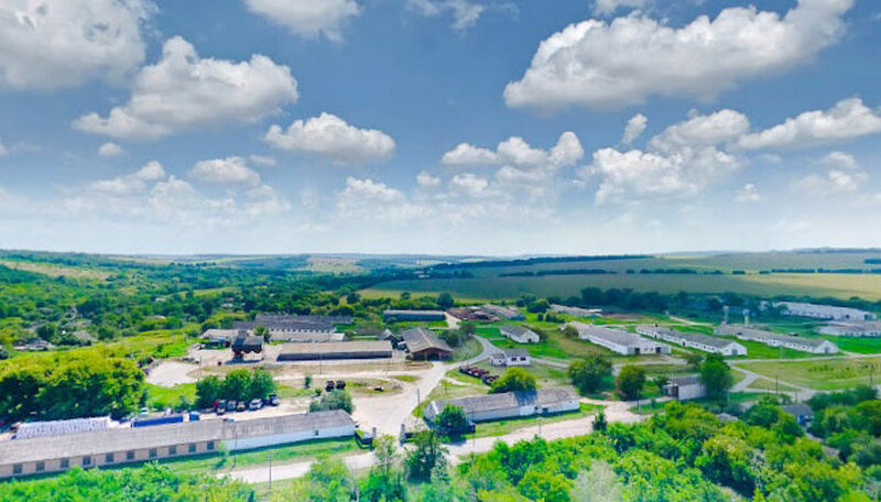 Село Новоселиця Черкаська область